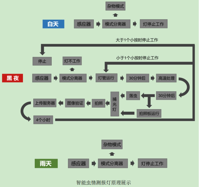 智能蟲情測報燈